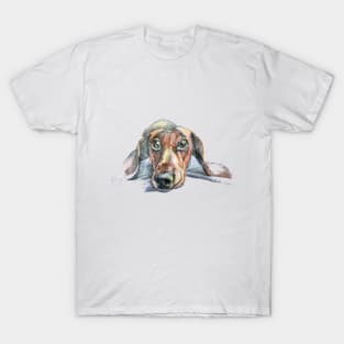 Dog T-Shirt